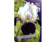 95,3���. ���� ���������� ����������(�������� ���� �� 2 ��., ����������� ����� 1��.).jpg