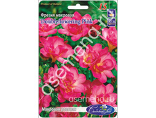 �������� �������.jpg