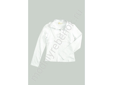 ���. 1560 DLG.jpg