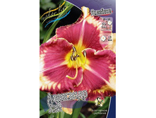 213,2���. �������� ��������� ���(�������� ���� �� 1 ��., ����������� ����� 1��.).jpg