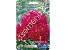 ��������� ��������.jpg