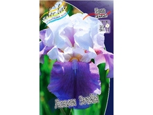 95,3���. ���� ���������� ����� �����(�������� ���� �� 2 ��., ����������� ����� 1��.).jpg