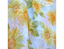 �����-������ 007.jpg