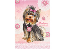 �������� ������ 48�. �5 ��������� ��� �������, �������� ������� 57,08.jpg