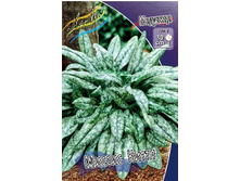 95,4���. �������� ������ �����(�������� ���� �� 1 ��., ����������� ����� 1��.).jpg