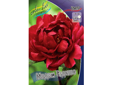 283,7���. ���� ����� ������(�������� ���� �� 1 ��., ����������� ����� 1��.).jpg