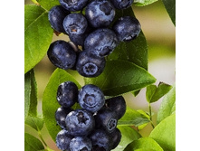 175���. �������� ����������.jpg