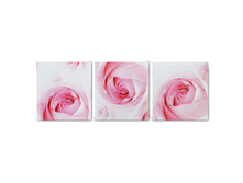 533b1bd9-d681-11e3-87d4-50e549c407cc ed78b041-2433-11e4-95c5-50e549c407cc.jpeg