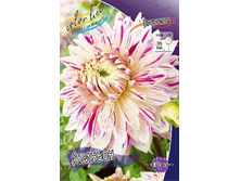 84,8���. �������� �������(�������� ���� �� 1 ��., ����������� ����� 1��.).jpg