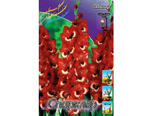 8,91���. ��������� ��������(���������� ������ ������ ���������� �� 8 ��.).jpg