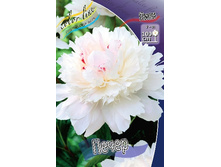 213,2���. ���� �����(�������� ���� �� 1 ��., ����������� ����� 1��.).jpg