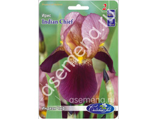 ������ ���.jpg