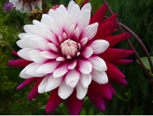 �������� �����