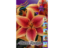 33,08���. ����� ���� �����(�������� ���� �� 5 ��., ����������� ����� 1��.).jpg