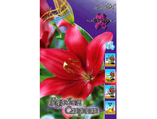 20,17���. ����� ������ �����(�������� ���� �� 7 ��., ����������� ����� 1��.).jpg