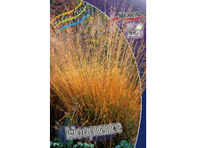 93,8���. ������� ���������(�������� ���� �� 1 ��., ����������� ����� 1��.).jpg