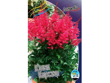 93,8���. �������� ���� ������(�������� ���� �� 1 ��., ����������� ����� 1��.).jpg