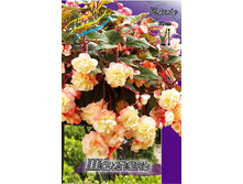 153,97���. ������� �������(�������� ���� �� 3 ��., ����������� ����� 1��.).jpg