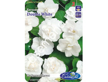 �������� �����.jpg