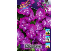 8,18���. ��������� ������(���������� ������ ������ ���������� �� 8 ��.).jpg