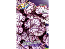 158���. ������� ���� �����(�������� ���� �� 2 ��., ����������� ����� 1��.).jpg