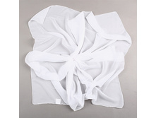 3900386-01 ���� 225 ���., 100�100, �������.jpg