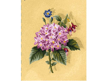 ���������� ��������� - ����������� �����.jpg