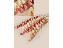 403/9725L ��������