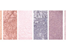 ������� 0023 orchid-1900.jpg