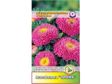 ����� ��������� ������� 	0,3	8,00 ���.