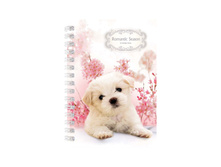 �������� ������ �6 80�. �� ������ �������. Romantic season 17,40.jpg