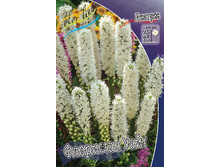 14,44���. ������� ��������� ����(���������� �� ����� �������� �� 5��.).jpg