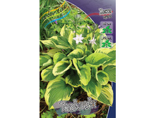 113,7���. ����� ��������(�������� ���� �� 1 ��., ����������� ����� 1��.).jpg