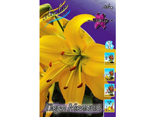 37,4���. ����� ���� ������(�������� ���� �� 5 ��., ����������� ����� 1��.).jpg