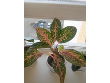 20151005 113457 HDR.jpg