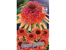 279,5���. �������� ������ ������(�������� ���� �� 1 ��., ����������� ����� 1��.).jpg