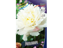 246,4���. ���� �������(�������� ���� �� 1 ��., ����������� ����� 1��.).jpg