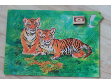 ���� � �������. 72 ��������