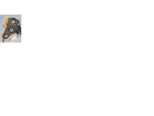 ���������11.png