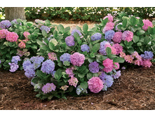 ��������� �.�. ������ �1,5-518�