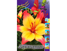 27,09���. ����� �����������(�������� ���� �� 7 ��., ����������� ����� 1��.)���16.jpg