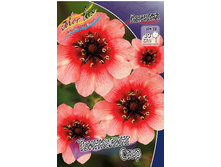 95,4���. �������� ���������� ����(�������� ���� �� 1 ��., ����������� ����� 1��.).jpg