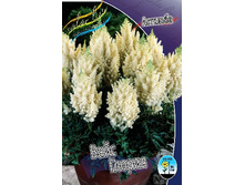 68,9���. �������� ���� ������(�������� ���� �� 1 ��., ����������� ����� 1��.).jpg