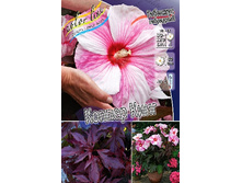 229,8���. �������� ��������� ������ ����(�������� ���� �� 1 ��., ����������� ����� 1��.).jpg