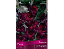 ��������� ���� ��������.jpg