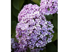 141���. ��������� �������������� ����.jpg