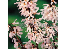 153���. ������������� ��������� �������.jpg