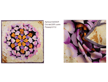 5603029-5 ���� 315 ���..png