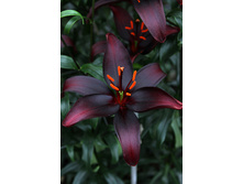 32,2���. ����� ���� �� ����(�������� ���� �� 5 ��., ����������� ����� 1��.)���16.jpg