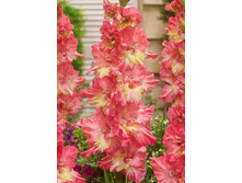 9,83���. ��������� �����(���������� ������ ������ ���������� �� 8 ��.)���15.jpg